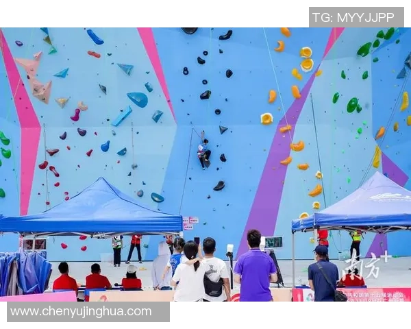 上海攀岩队与武汉攀岩队个人能力对比分析及赛后总结